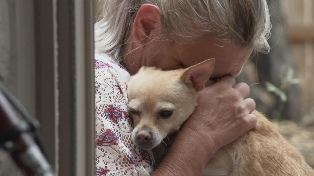 Pet owner Lisa Spillman, 52, hugs her 8-year-old dog, Rosebud.