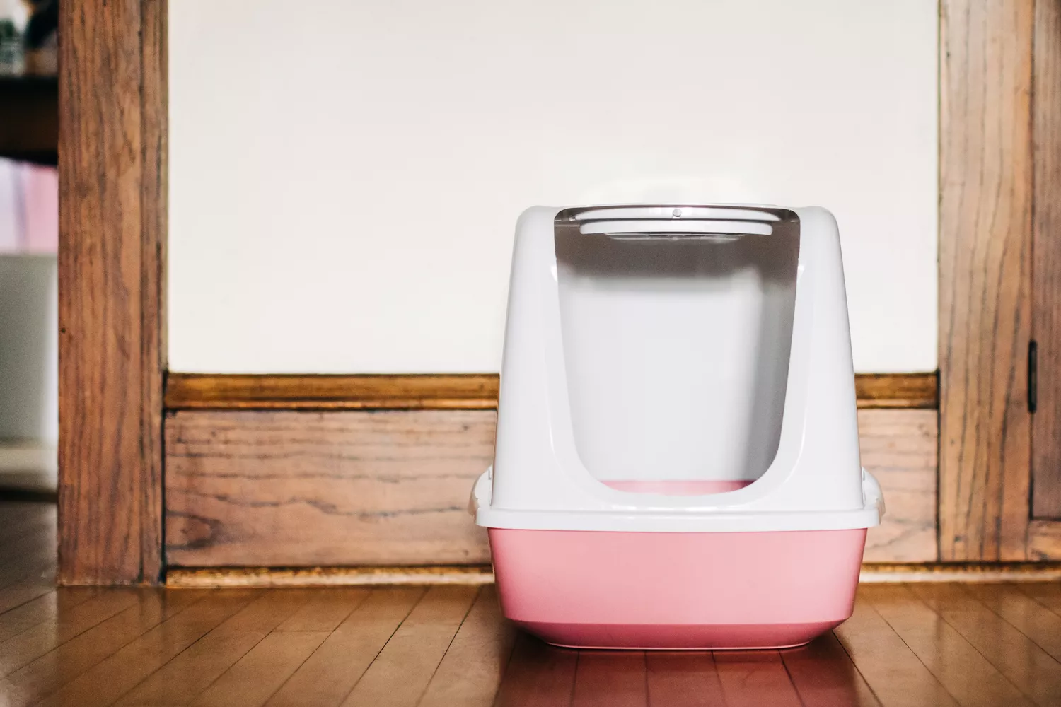 White and pink litter box near wooden baseboard