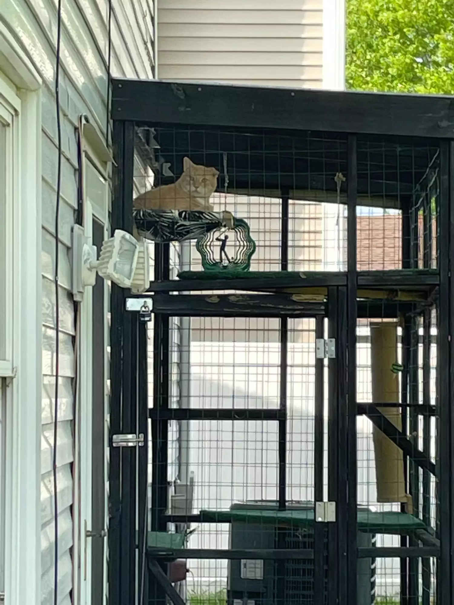 An outdoor patio built for a cat to sit in. A large orange cat is in the upper left corner.