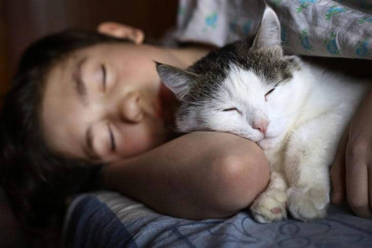 teen boy sleep with cat in bed hug close up photo