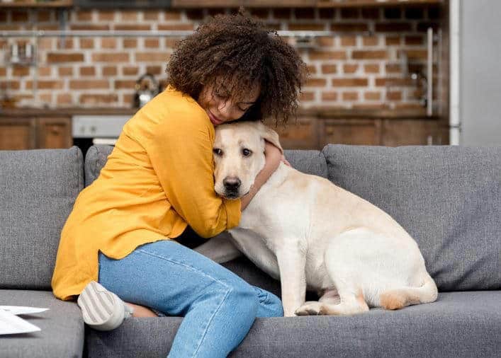 beautiful young woman working at home and cuddling with her dog