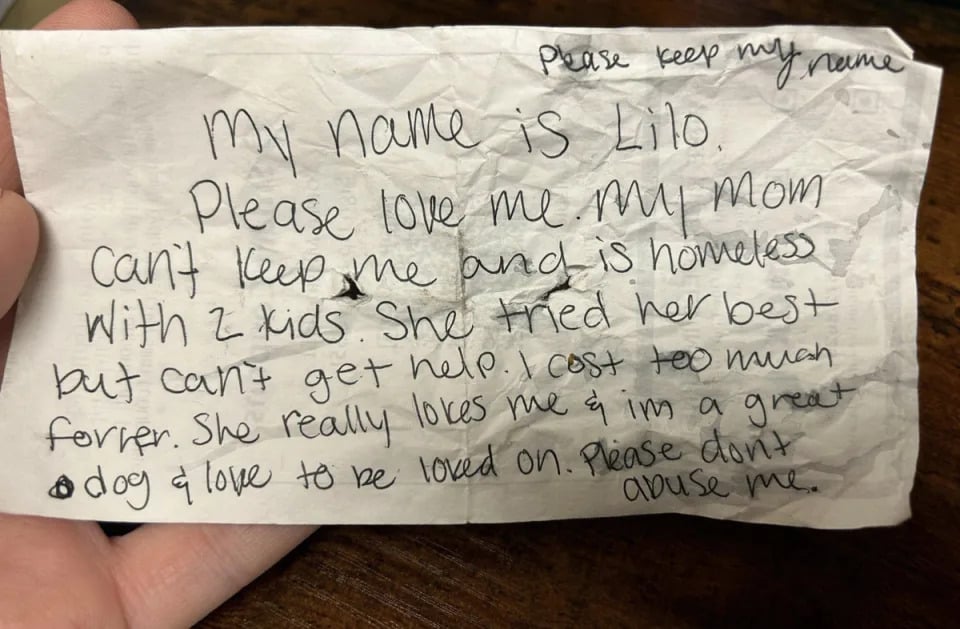 Staff at the McKamey Animal Center in Chattanooga, Tennessee, were moved when they rescued a dog with a heartbreaking note attached to its collar (McKamey Animal Center)