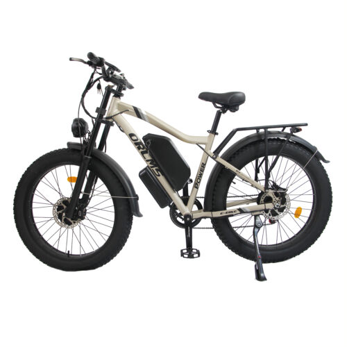 Twin-Motor AWD Fat Tire Electric Bike
