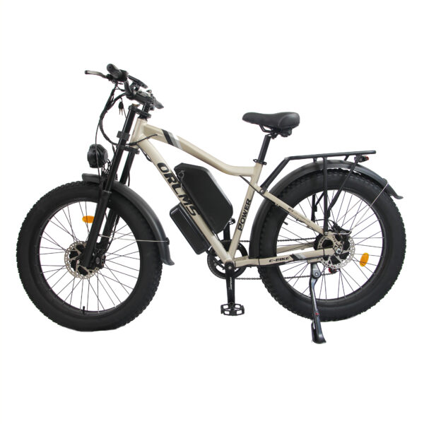 Twin-Motor AWD Fat Tire Electric Bike