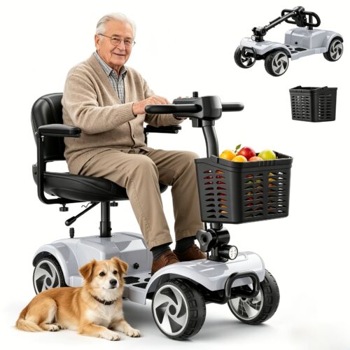 20-mile Long-range Folding Electric Bike