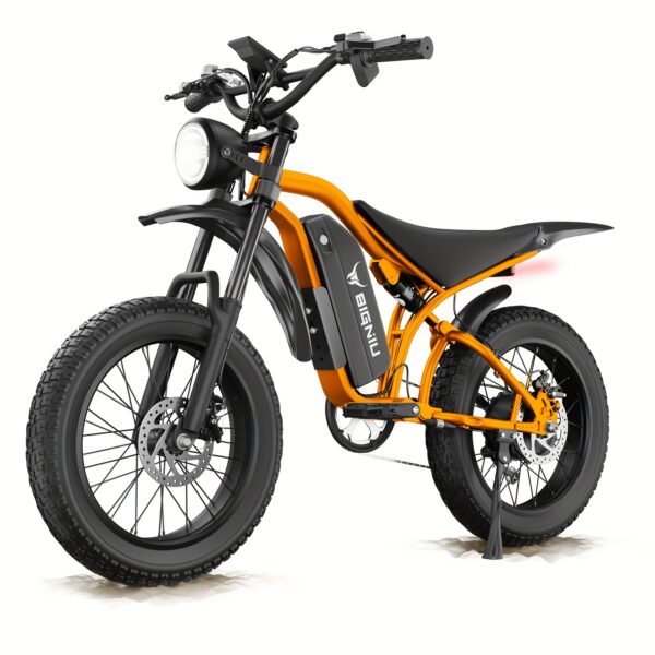 Adult Electric Bike 20 X 4.5 Inch Fat Tires