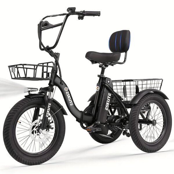 E Trike Electric Bike